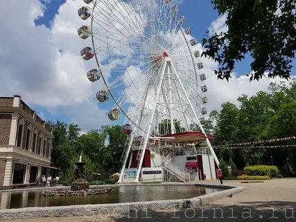 Городской сад краснодар городской сад отзывы