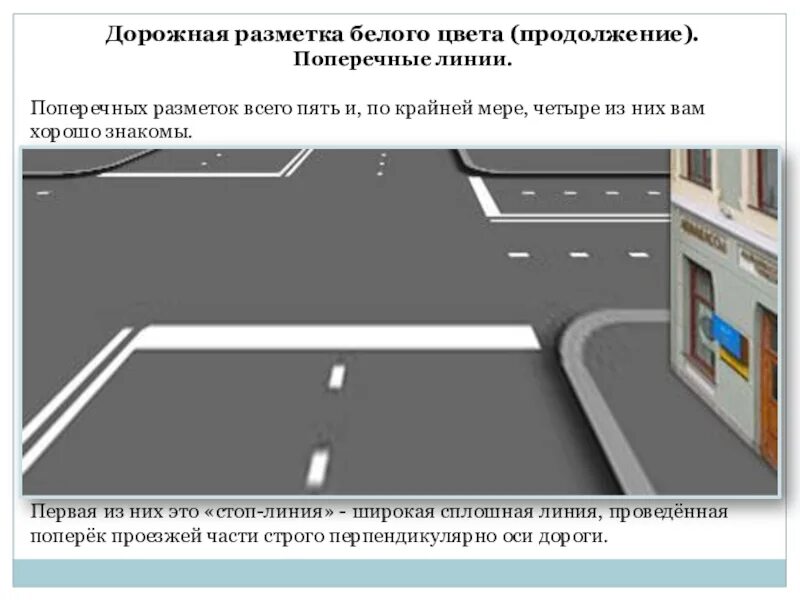 Дорожная разметка противоречит знаку. Стоп линия разметка 1.12. Линия 1.12 дорожной разметки. Поперечная разметка дорожная 1.12. Линия 1.1 дорожной разметки.