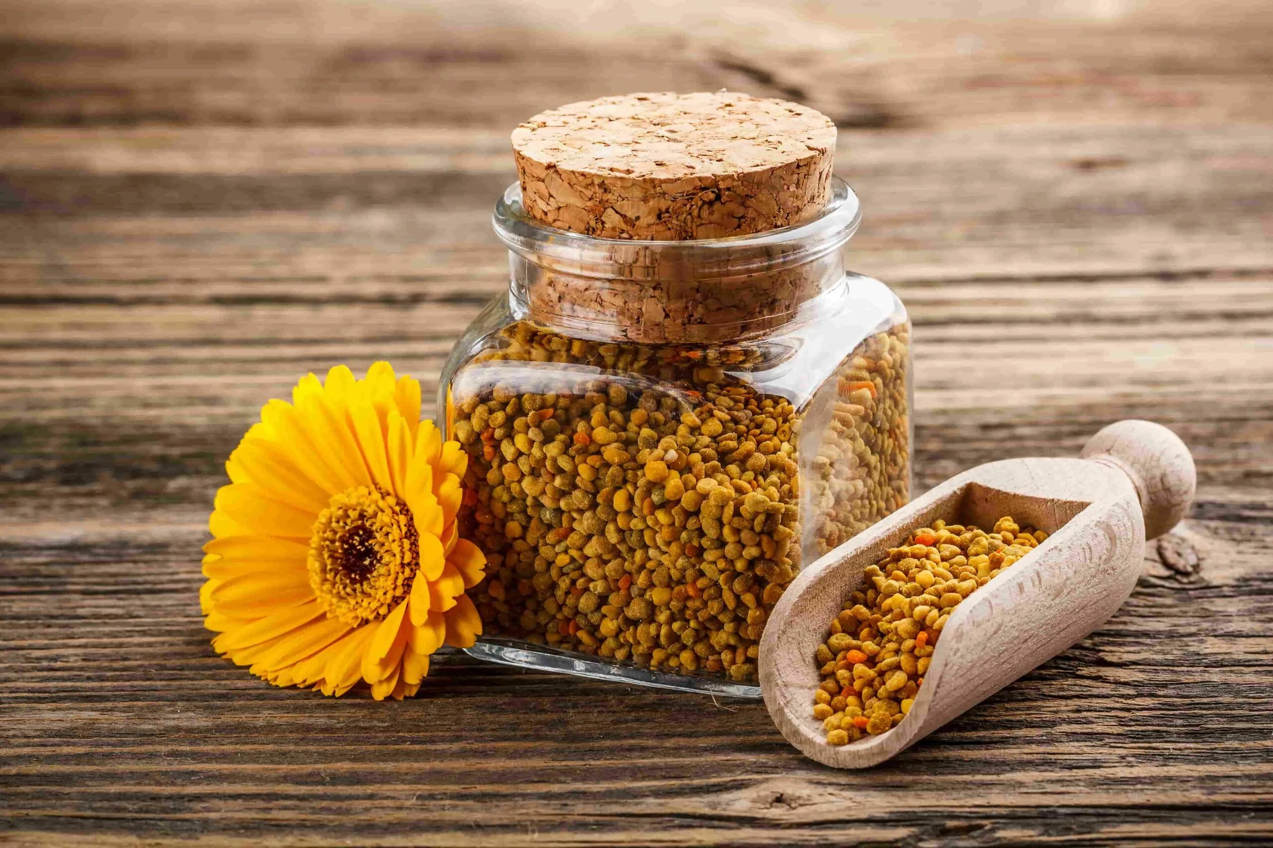 Пчелиная пыльца (Bee pollen). Цветочная пыльца и перга. Пыльца Цветочная пчелиная обножка. Пчелопродукты пыльца и перга. Пыльца сердце