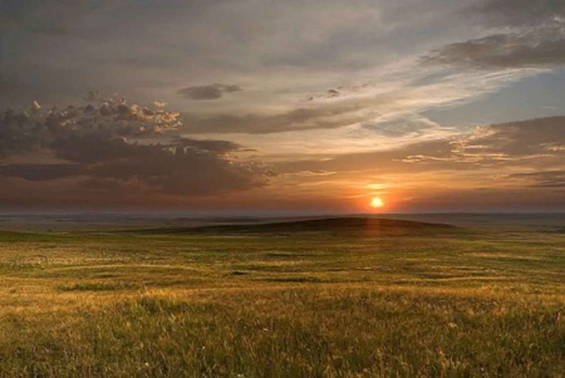 Широко ли далеко степь ты протянулась. Донская ковыльная степь. Степь раздольная в русской литературе. П атаманцев широко привольно раскинулась степь. Ах ты степь моя степь привольная широко.