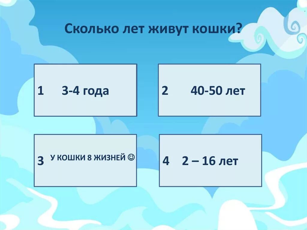 Сколько лет живут. Сколько лет живут кошки. Сколько может прожить кошка. Сколько лет могут жить кошки.