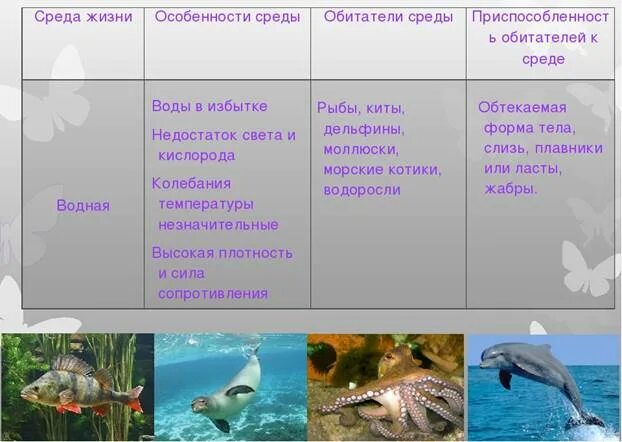 Среда обитания хвоща наземно воздушная или водная. Биология 5 класс тема среды жизни планеты земля таблица. Среды обитания организмов. Водная среда обитания организмов. Организмы обитающие в водной среде обитания.