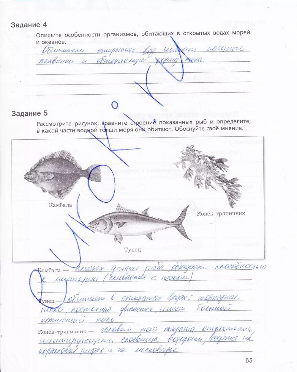Биология 5 класс рабочая тетрадь стр 65. Рабочий лист по биологии 5 класс. Биология 5 класс задания. Рабочая тетрадь по биологии 5 класс Корнилова.