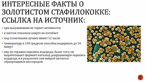 Чем лечить золотой стафилококк
