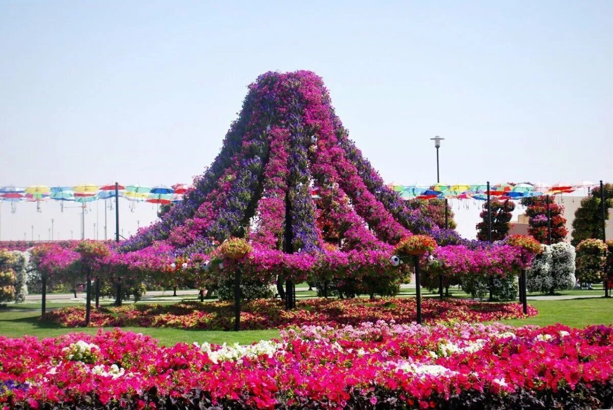 Самый большой парк. Дубай цветы парк. Чудо сад в Дубае. Дубай сад чудес и парк цветов. Парк цветов в Дубае.
