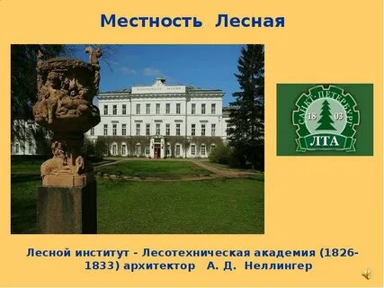 Лесной институт