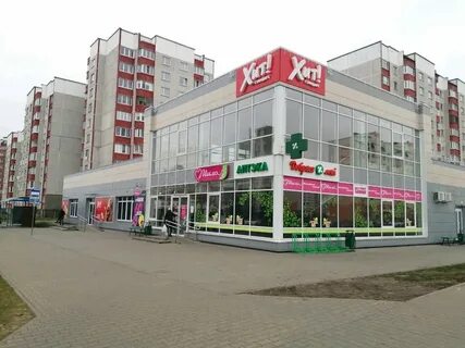 Фани брест