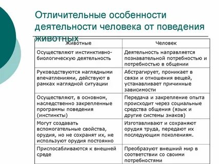 Отличительные черты поведения человека