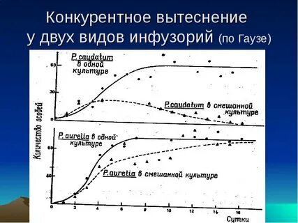 Эксперименты гаузе с инфузориями