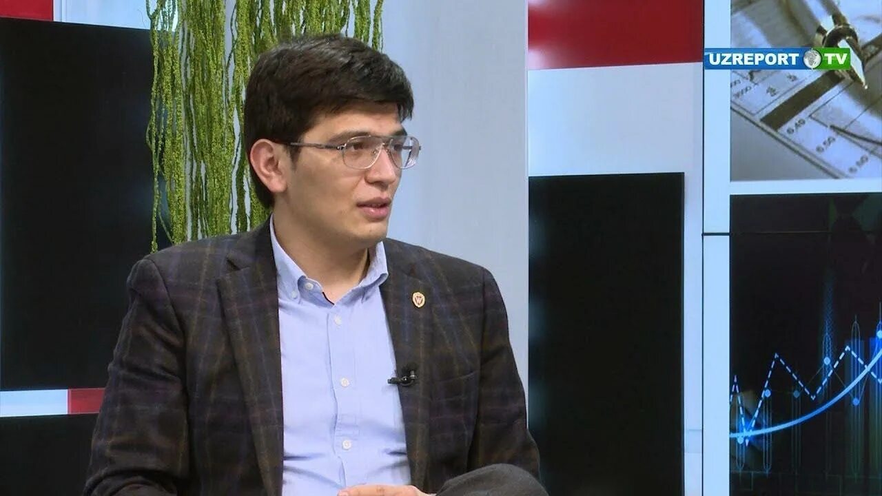 Блоггер экономист