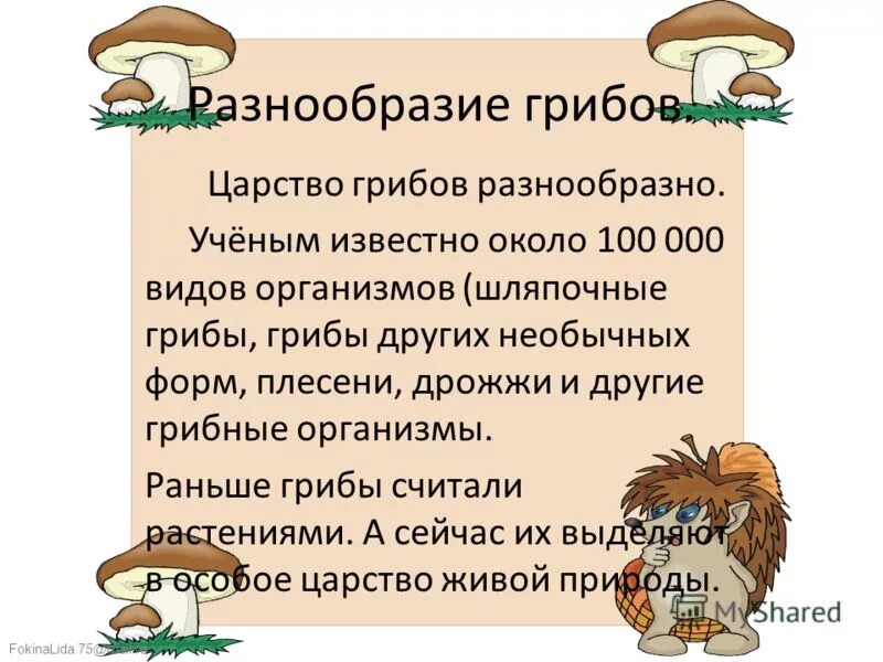 В некотором царстве грибы. В некотором царстве грибы