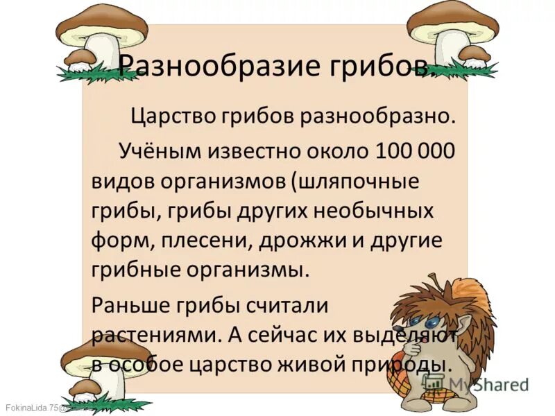 Почему грибы считают