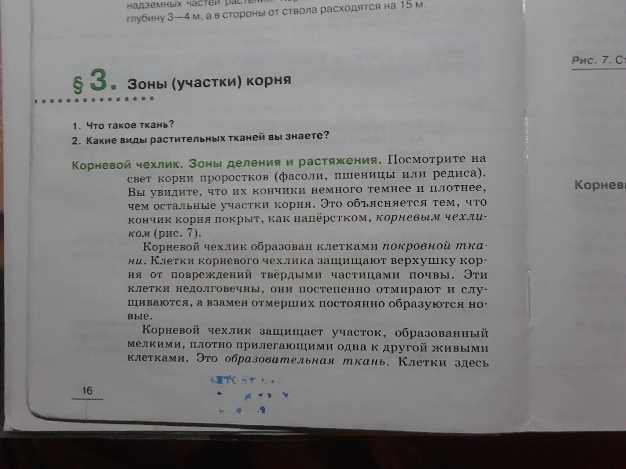 Краткий пересказ 16 параграфа биология 6 класс. Биология 6 класс краткий пересказ. Биология 6 класс 9 параграф. Краткий пересказ 6 класс биология параграф 3. Краткое содержание биология 5 класс 5 параграф.