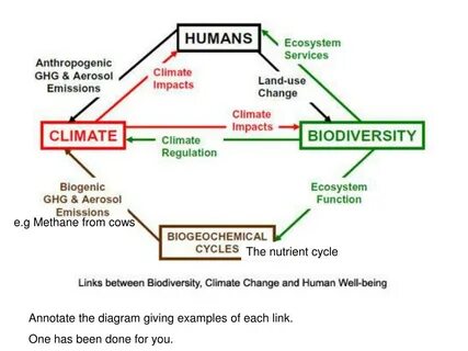 Human well