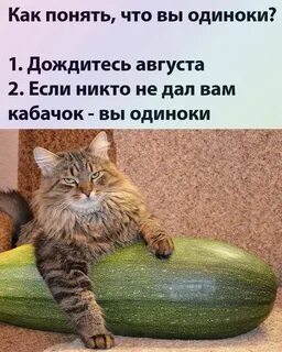 Как будет по не принес