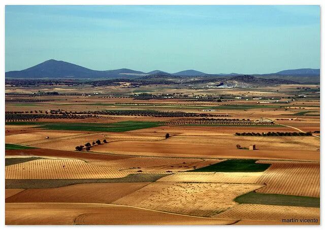 Саванна (льянос, кампос). Саванна (льянос, кампос). Саванны кампос. Кампос лимпос фото. Природные зоны южной америки.