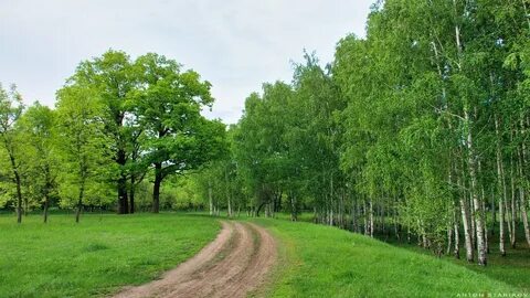 Земли лесопарков