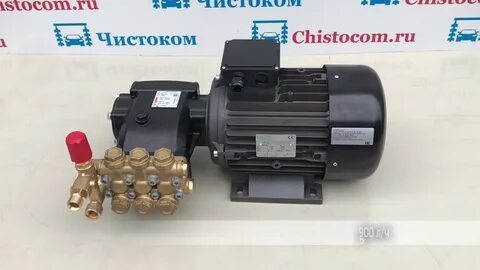 Чистоком