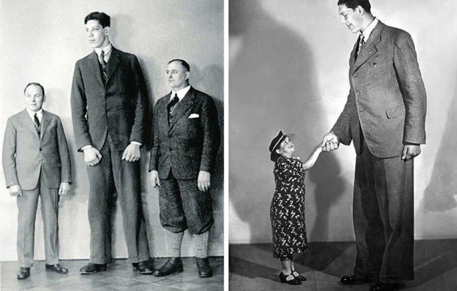 Сами высоки человек. Вайно Миллиринне. Роберт Уодлоу (272 см. Вайно Миллиринне рост. Самый большой человек в мире Роберт Уодлоу.
