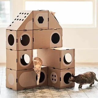 Сделать коробку для кошки