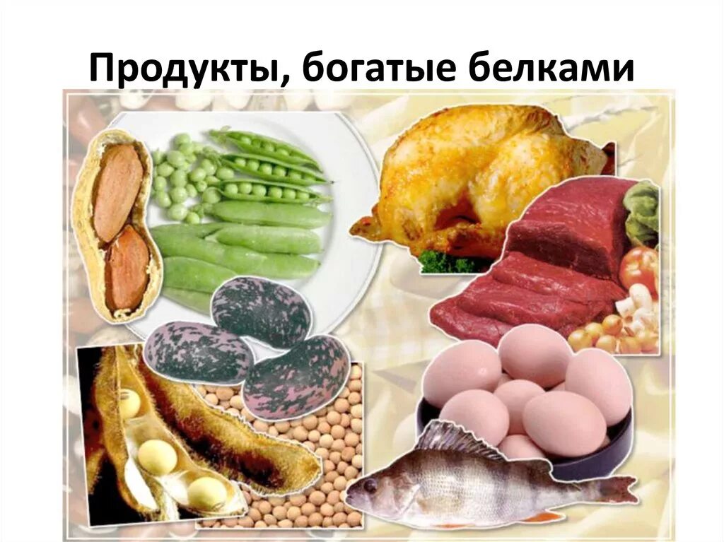 Продукты богатые белками. Пища богатая белком. Продукты богатые жирами и белками. Продукты насыщенные белком.