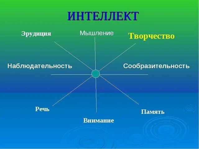 Интеллект эрудиция. Эрудиция. мышление, интеллект, эрудиция.. интеллект и эрудиция. интеллект это мышление и речь.