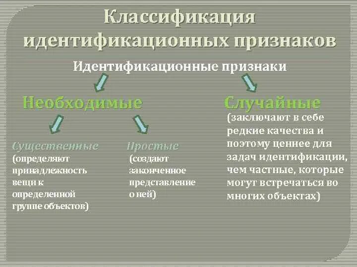 Общие и частные признаки объекта. Классификация и идентификация признаков. Идентификационные признаки. Идентификационные признаки объекта. Классификация идентификаторов.