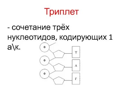 Каждый триплет