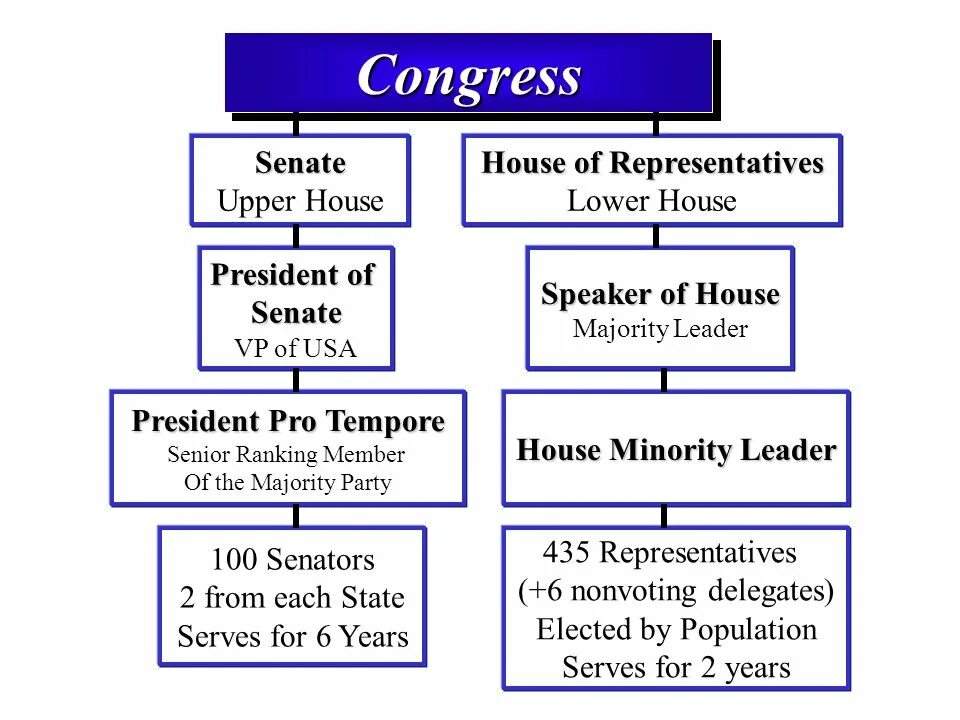 The House of Representatives and the Senate functions. House of Representatives structure. USA Congress structure. The House of Representatives схема. Lower house the head of state