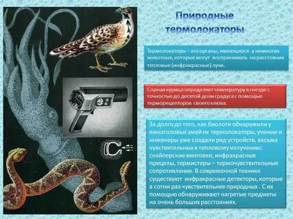 Какие органы способны воспринимать тепло