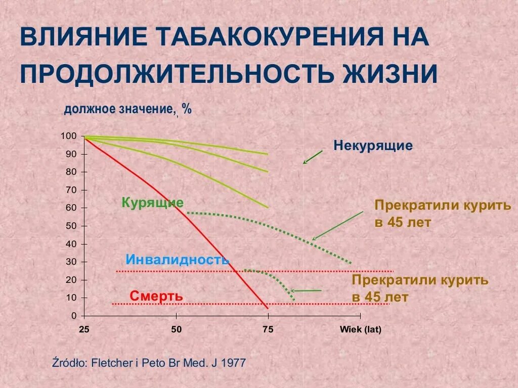 Влияние времени жизни на. Продолжительность жизни курильщика. Продолжительность жизни курящего человека. Средняя Продолжительность жизни курильщика. Средняя Продолжительность жизни курильщика (лет):.