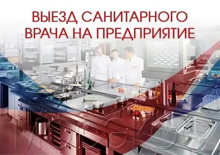 Сайт сэс архангельск