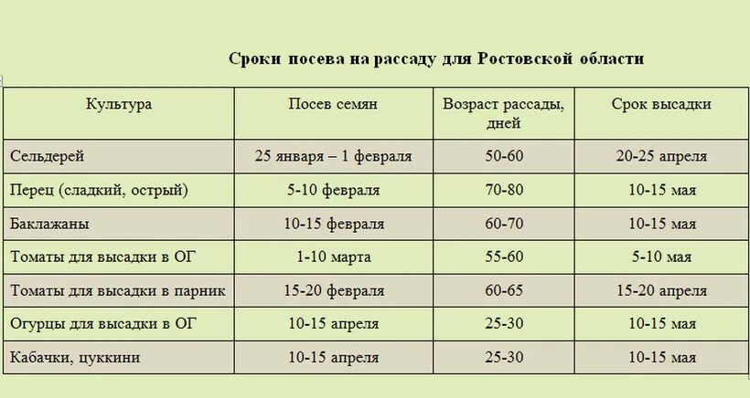 Срок высадки томатов на рассаду. Сроки посева помидор на рассаду. Время посева семян помидоров на рассаду для теплицы. Сроки посадки семян помидор для рассады. Когда садить помидоры на рассаду в беларуси