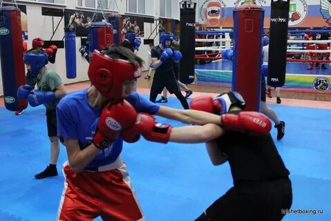 Boxing 80