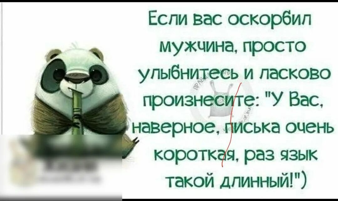 Прикольные цитаты. Прикольные высказывания о жизни. Смешные цитаты. Приколы афоризмы в картинках.