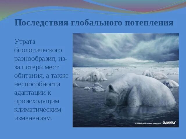 Пример последствий изменения климата. Последствия глобального потепления. Негативные последствия глобального потепления. Потеря биоразнообразия из за глобального потепления. Последствия глобального изменения климата.