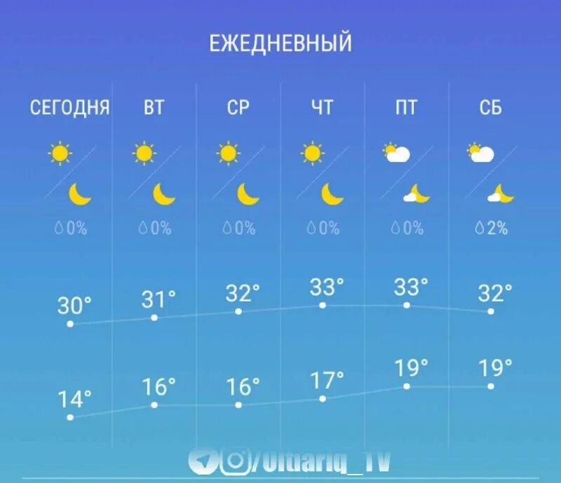 Каракал и каракет. Каракал и каракет. Каракал ракал. Степной кот каракал. Каракул об хава.