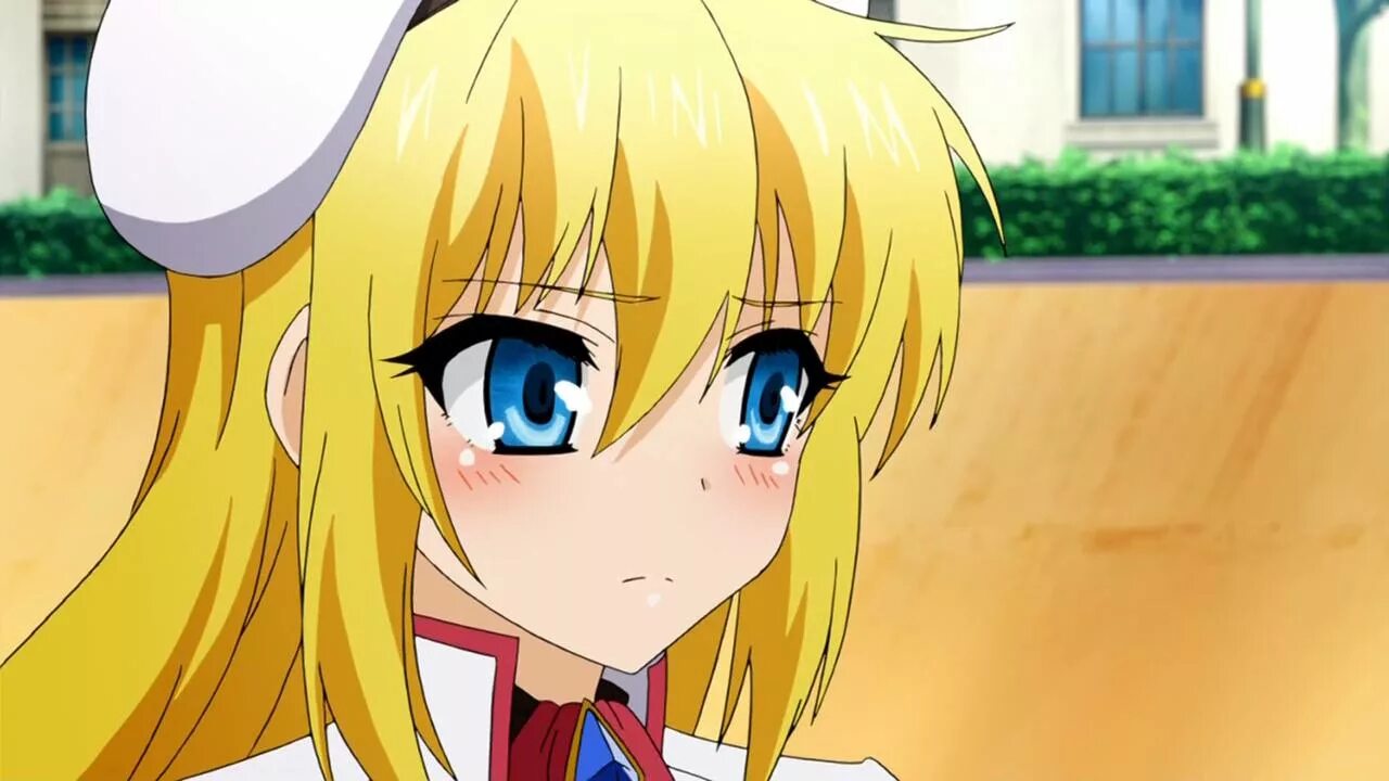 драгон академия