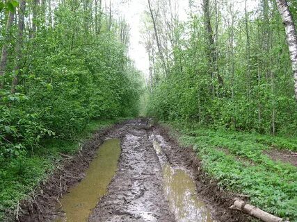 Строительство дорог болотах