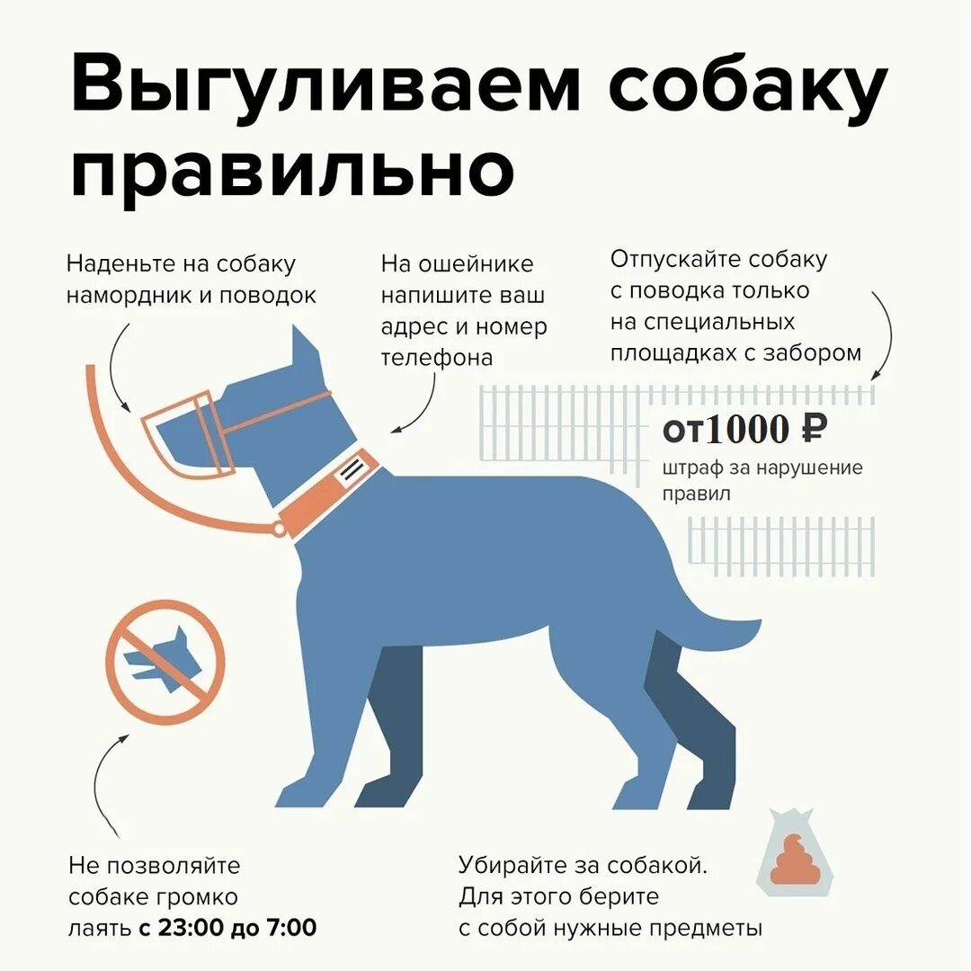 Закон по содержанию собак в частном. Как правильно выливать собаку. правила выгула собак. правила выгула домашних животных. выгул домашних животных закон.