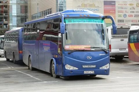 Автобус 560