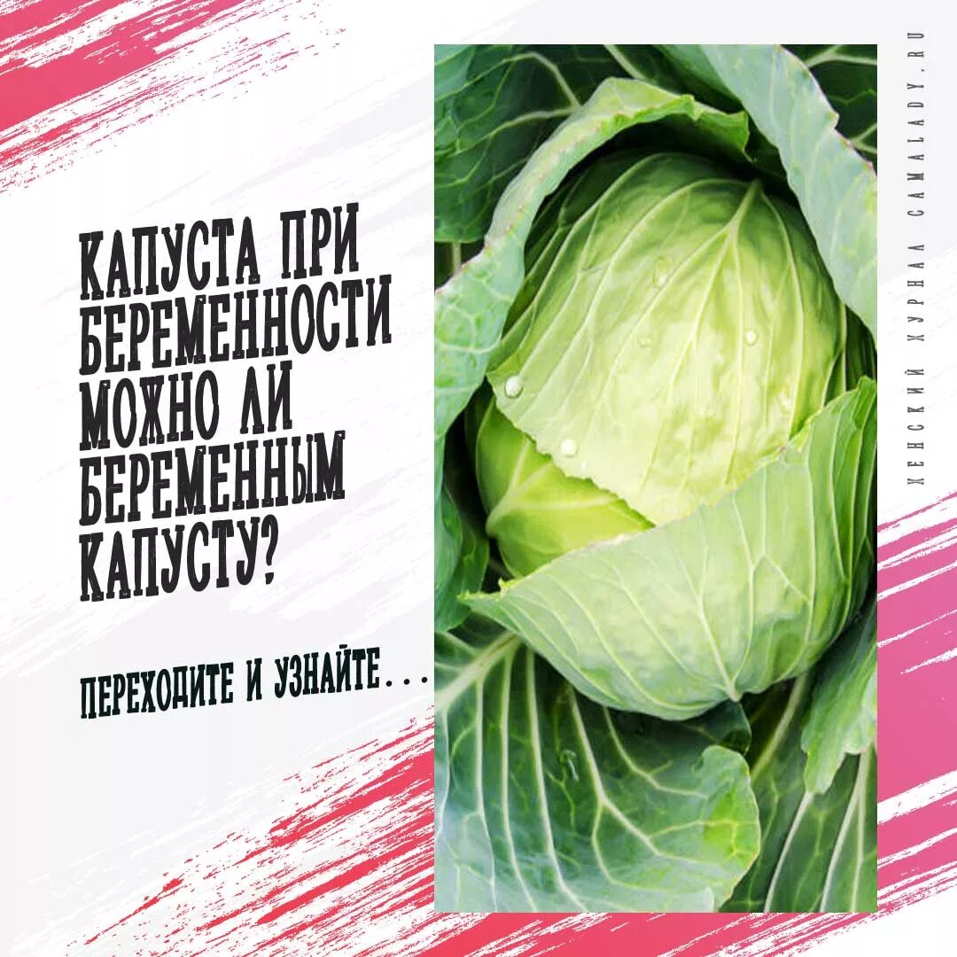 Можно ли есть капусту беременным