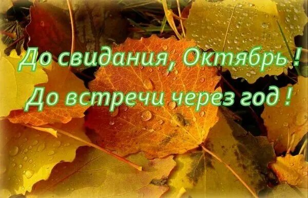 До свидания октябрь доброе утро. Прощай октябрь. с последним днем октября. последний деньоктябрч. до свидания октябрь.