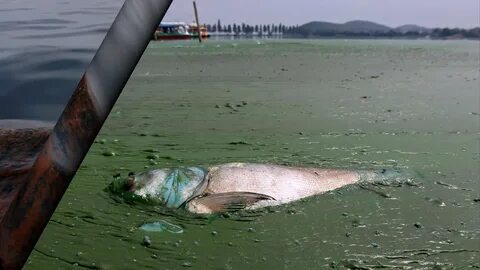 Попадание в водоемы
