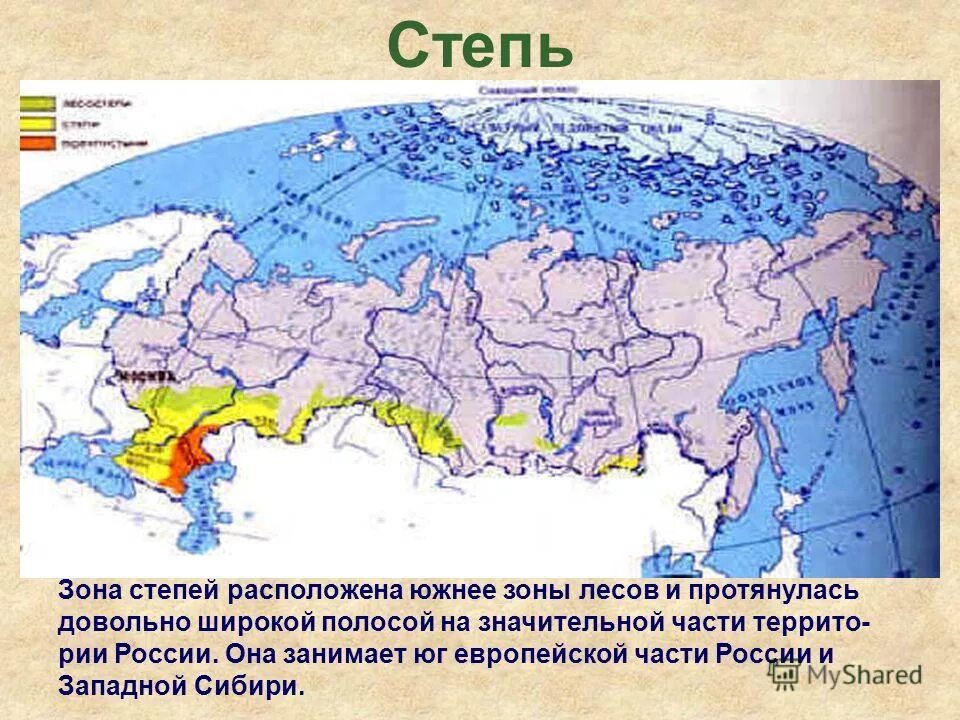 Какая зона располагается в самой северной части. Зона степей на карте России. Зона степей в России расположена. Степь на карте природных зон. Степная зона России на карте.