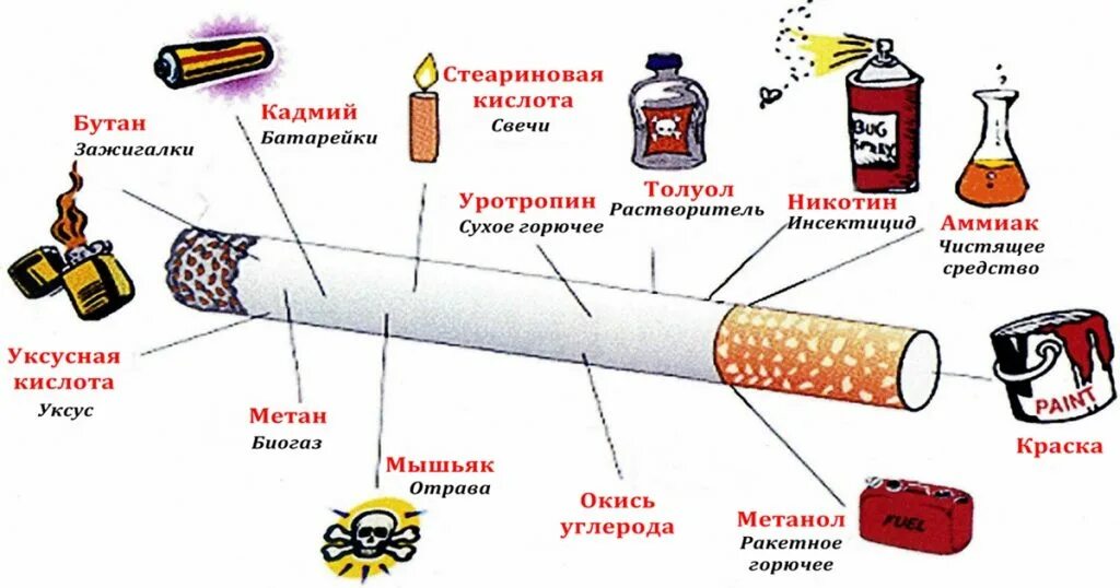 Что содержит никотин. Строение сигареты. Вредные вещества в сигарете. Вещества в табачном дыме. Строение сигареты схема.