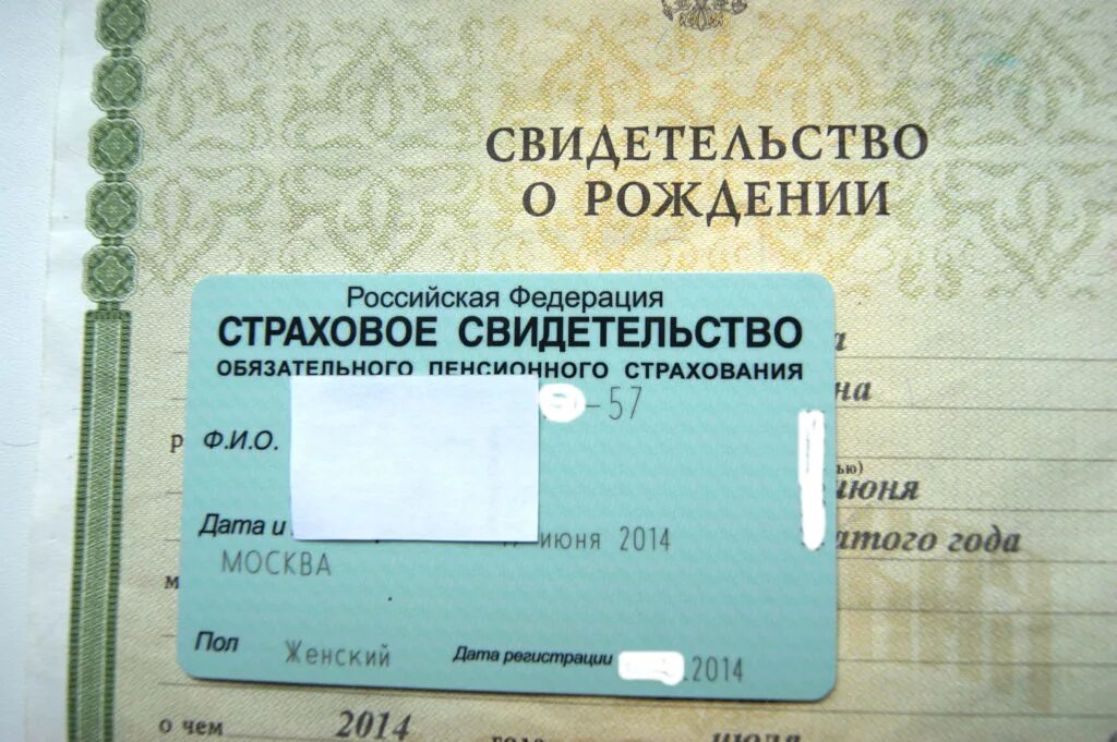 Как узнать номер свидетельства ребенка. Номер снилс. снилс ребенка. как выглядит снилс. как выглядит снилс для ребенка.