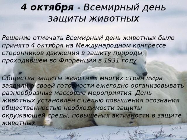 Как прошло 4 октября