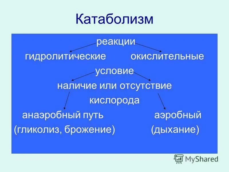 художественный образ вещества или процесса кислорода
