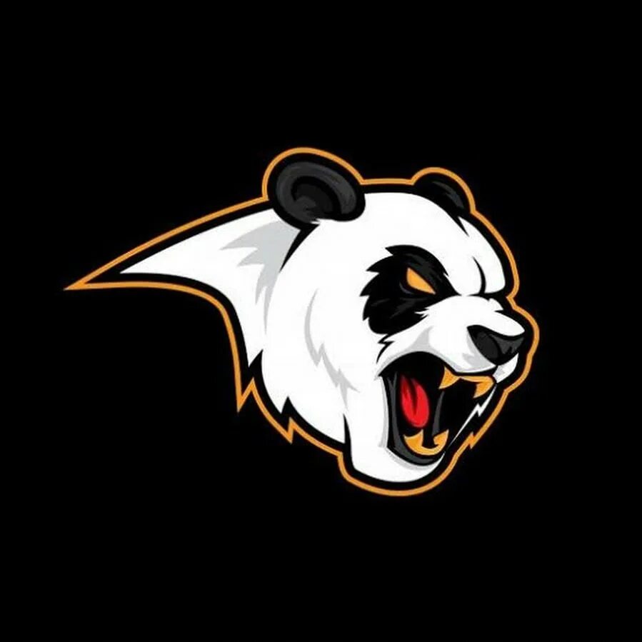 Bear 2 go